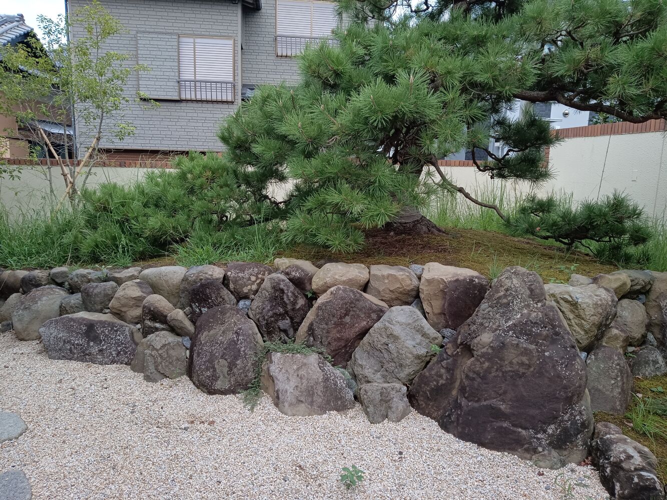 画像1384