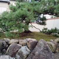 画像1386