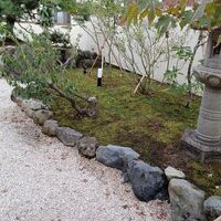 画像1388