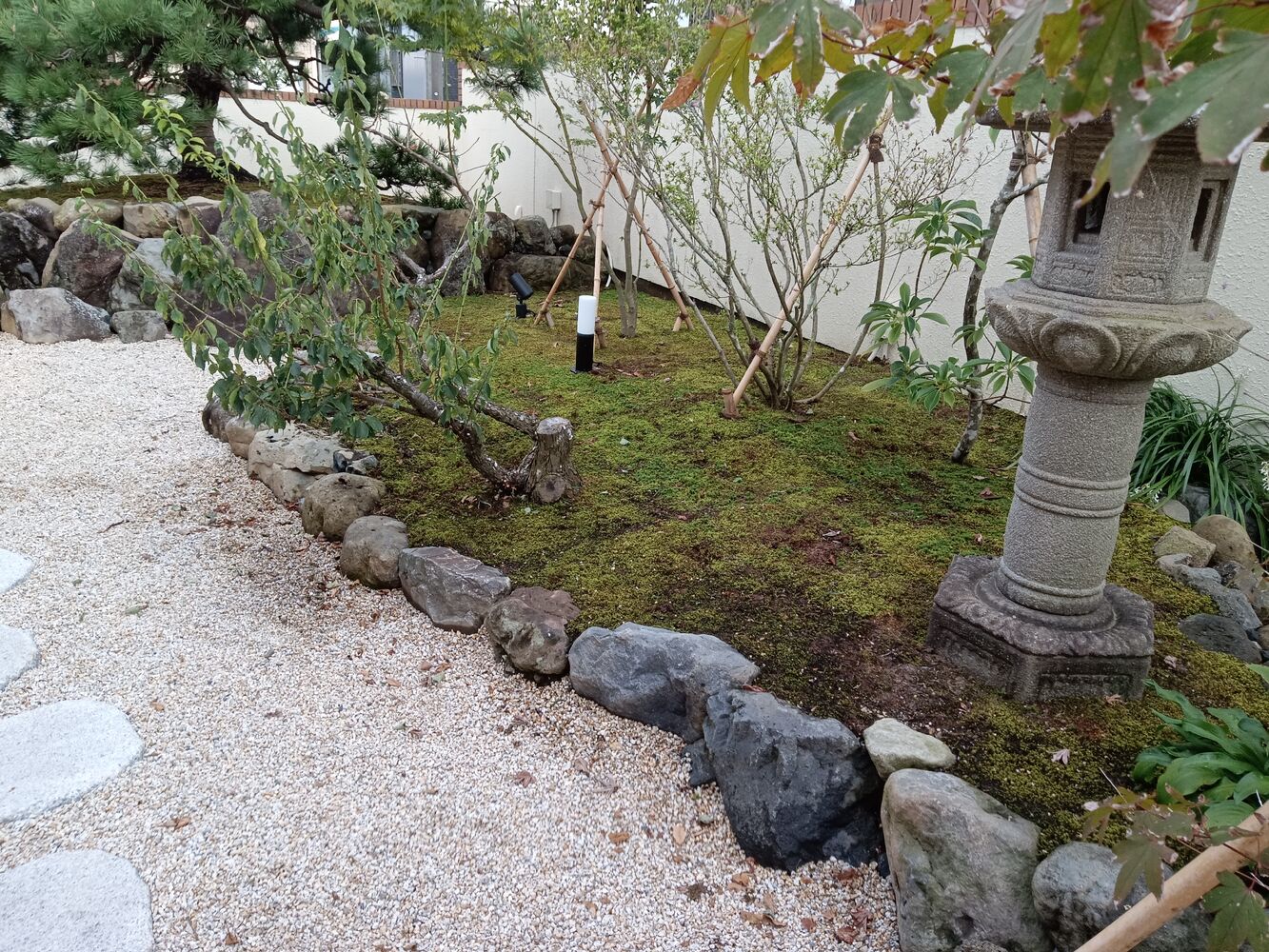 画像1388