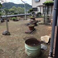 画像1401