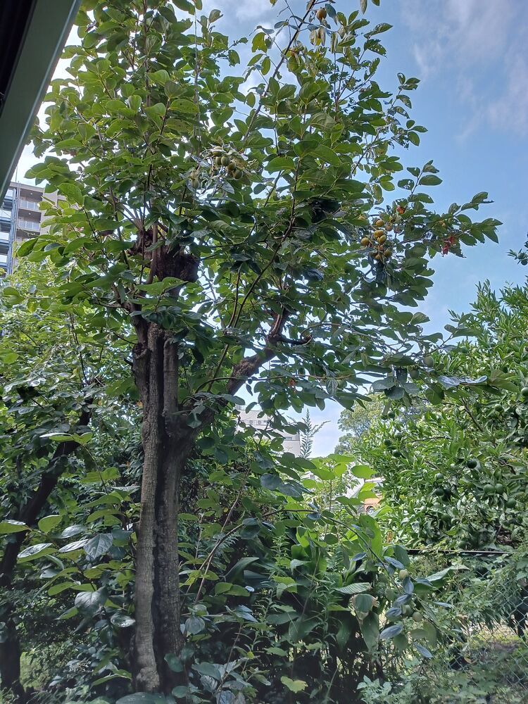 画像1408
