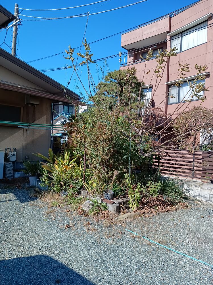 画像1500