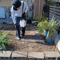 画像1502