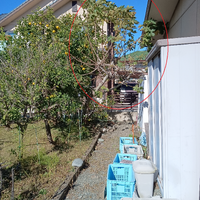 画像1504