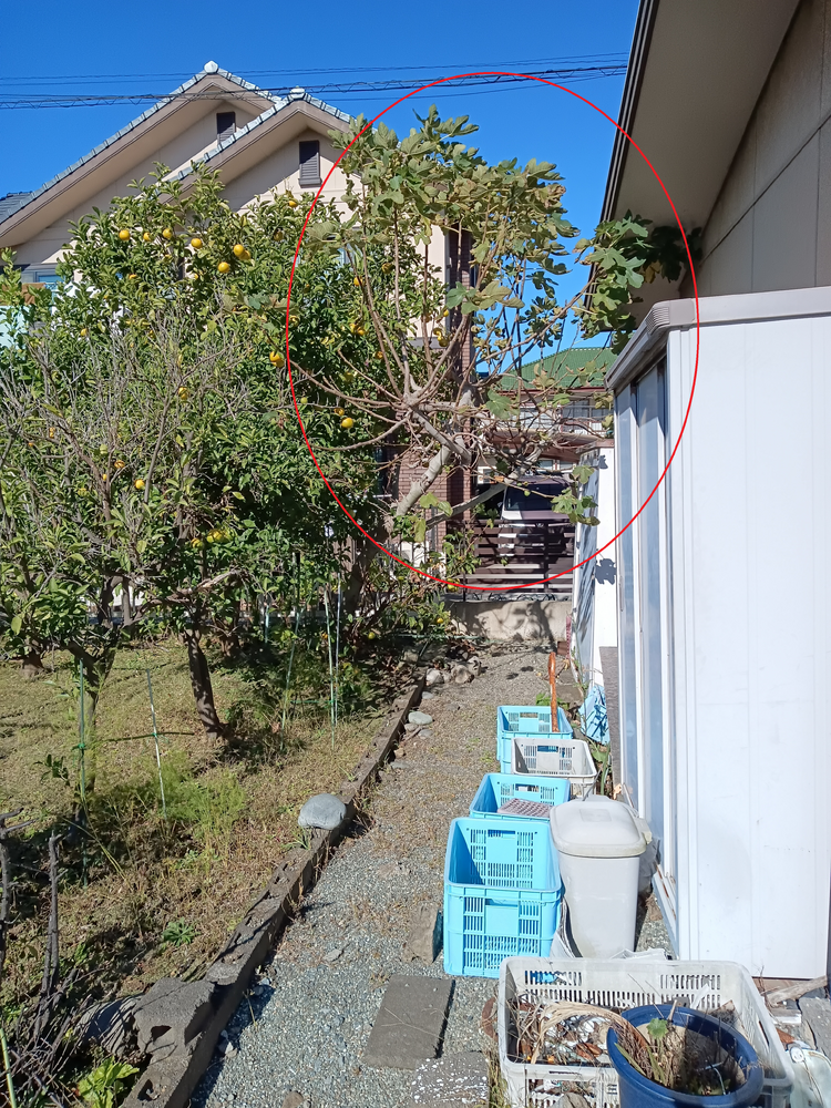 画像1504
