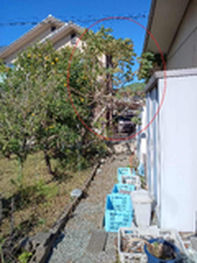 画像1505