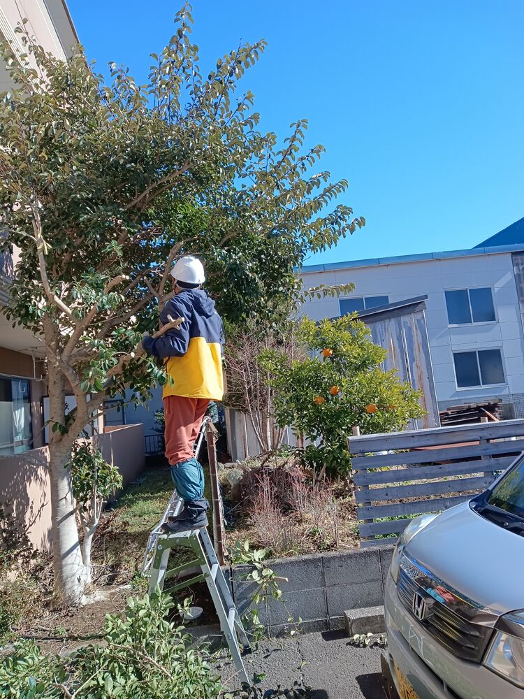 画像1561