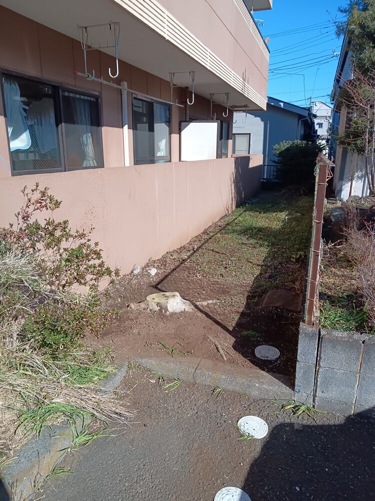 画像1564