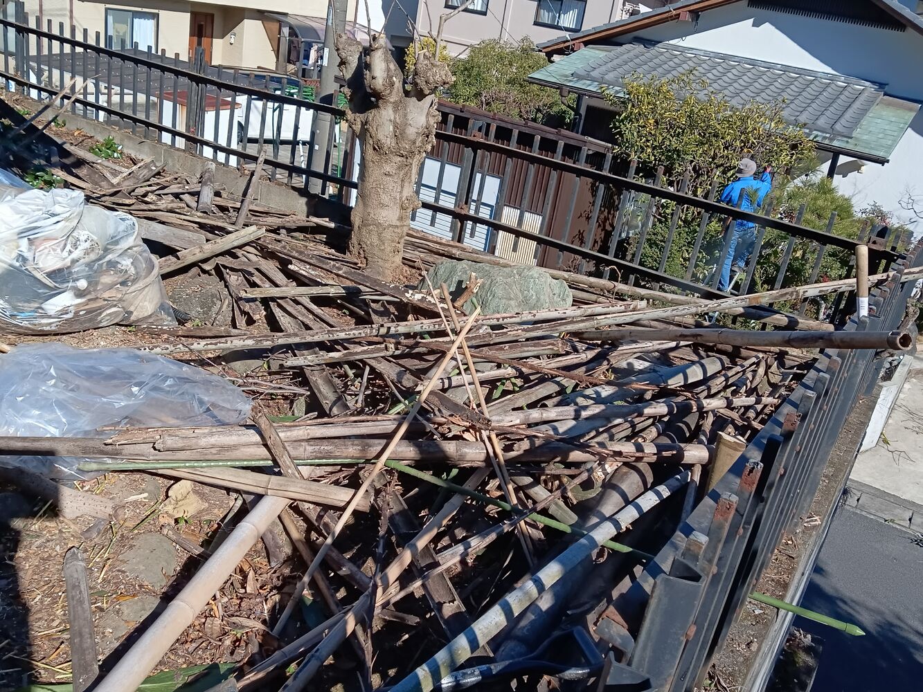 画像1590
